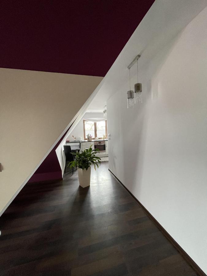 Apartament Podczerwone Czarny Dunajec Exterior photo