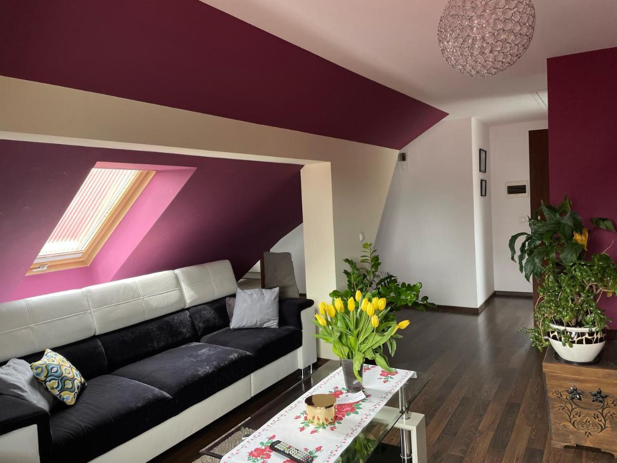 Apartament Podczerwone Czarny Dunajec Exterior photo